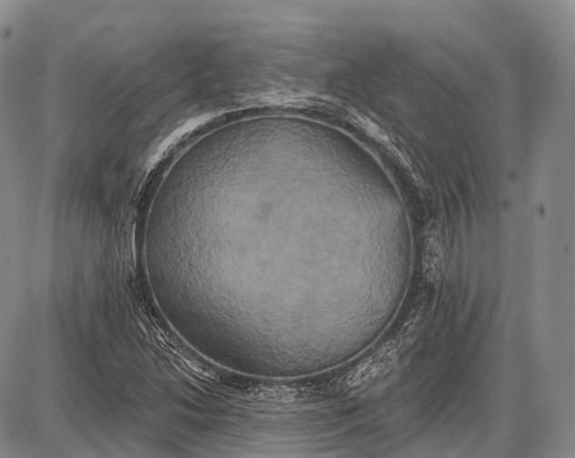 X0000087701214200705181811