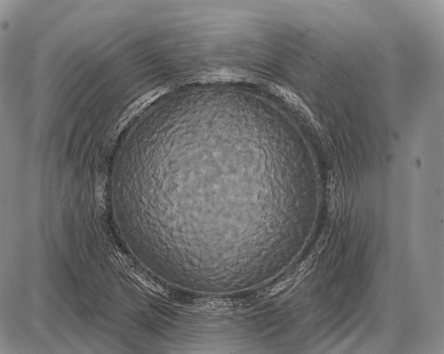 X0000087701217200705181811