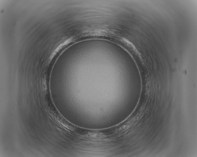 X0000087701218200705181811