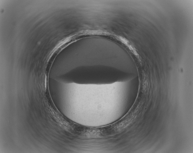 X0000087701221200705181811