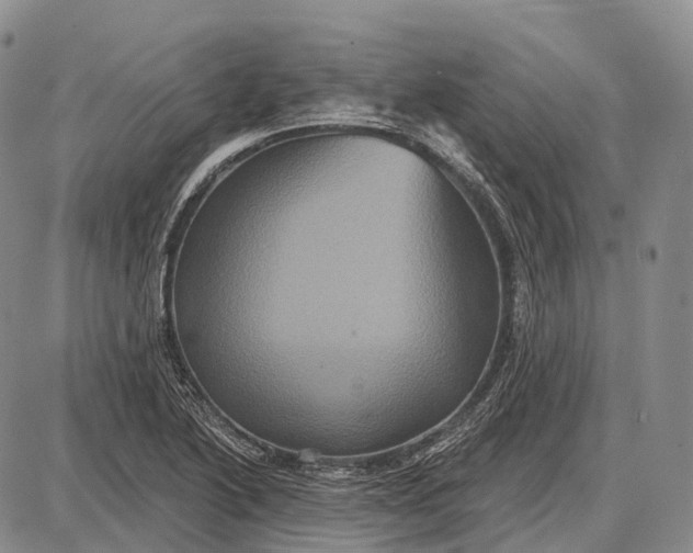 X0000087701222200705181811