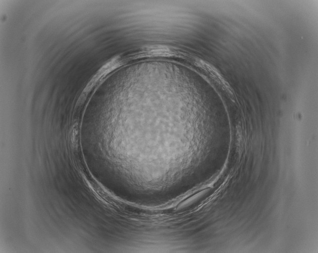 X0000087701225200705181811