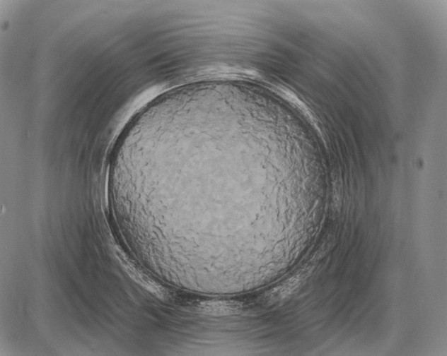 X0000087701227200705181811