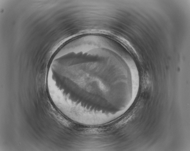 X0000087701228200705181811
