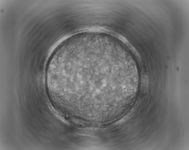 X0000087701232200705181811