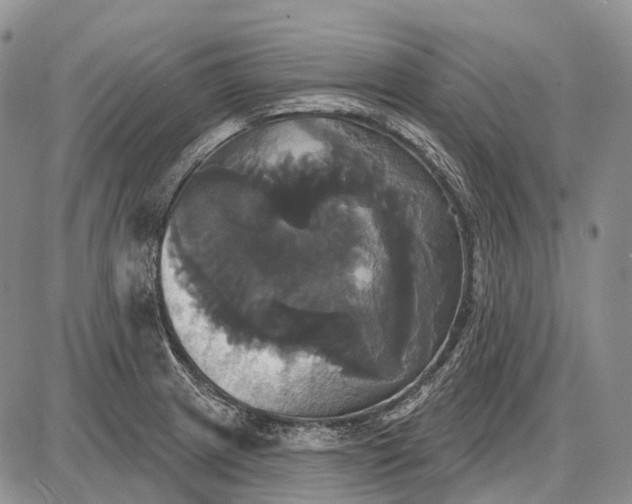 X0000087701233200705181811