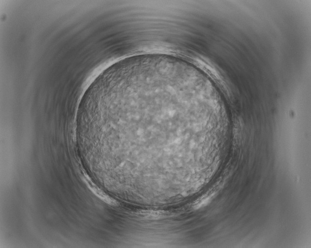 X0000087701236200705181811