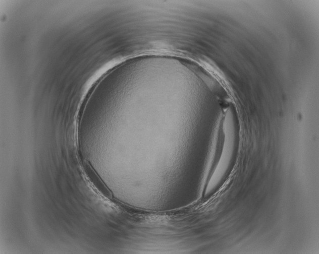 X0000087701238200705181811