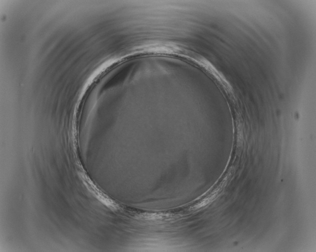 X0000087701240200705181811