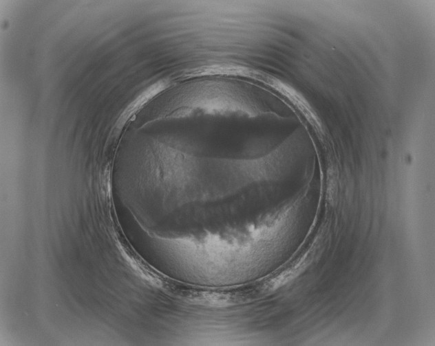 X0000087701241200705181812