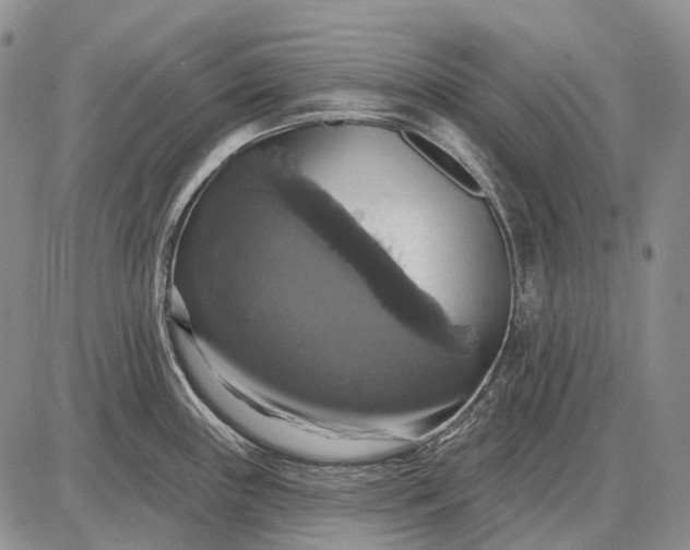 X0000087701243200705181812