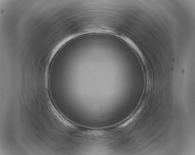 X0000087701246200705181812