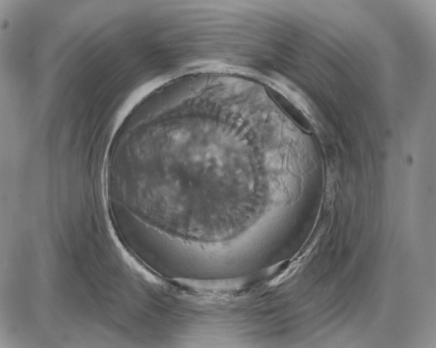 X0000087701247200705181812