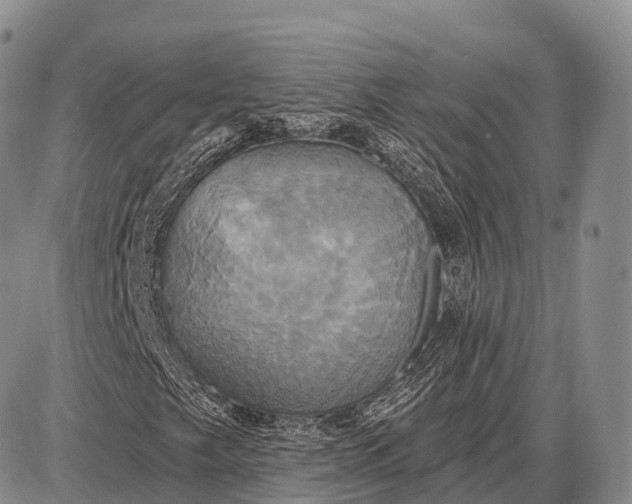 X0000087701249200705181811