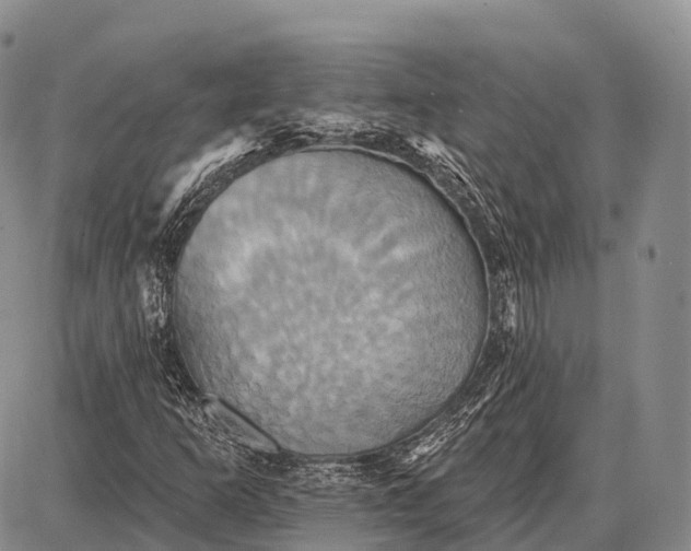 X0000087701253200705181811