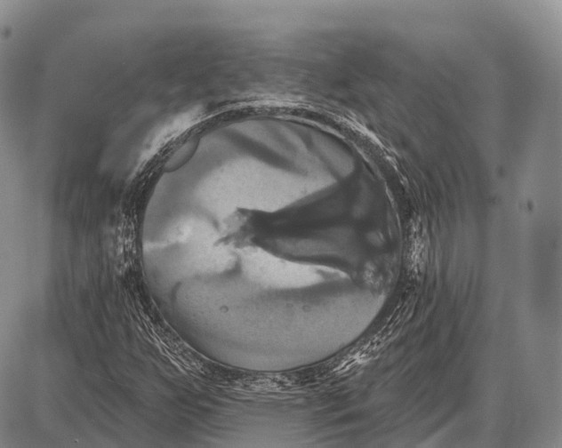 X0000087701255200705181811