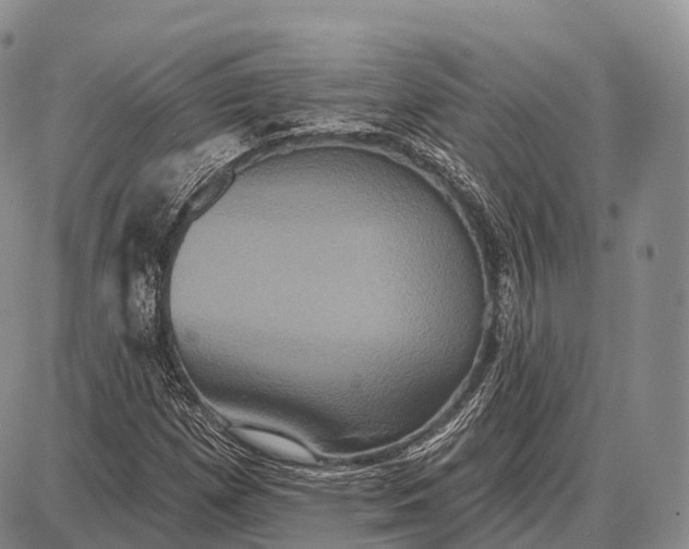 X0000087701257200705181811