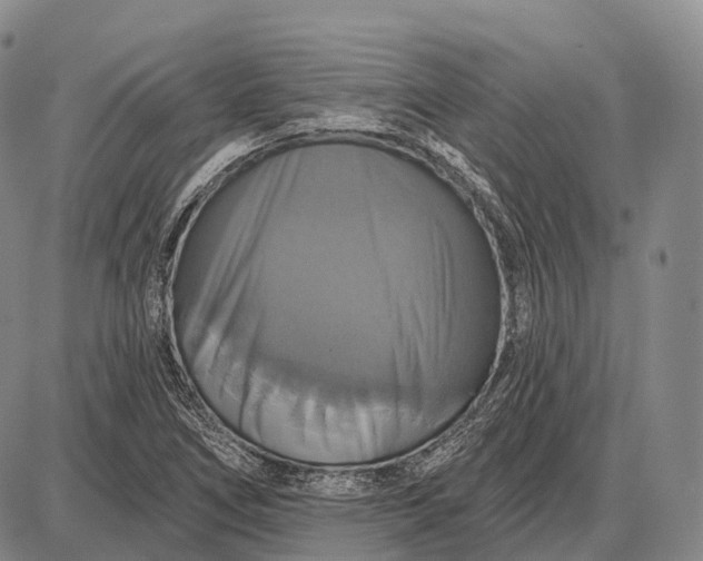 X0000087701266200705181811