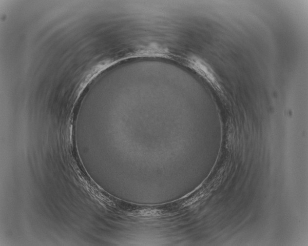 X0000087701268200705181811