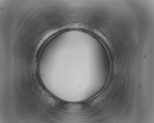 X0000087701270200705181811