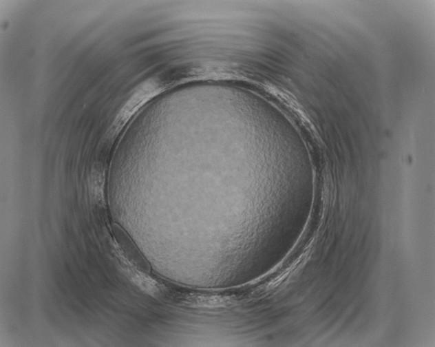 X0000087701273200705181810