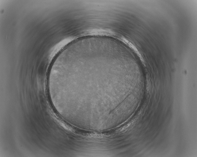 X0000087701277200705181810