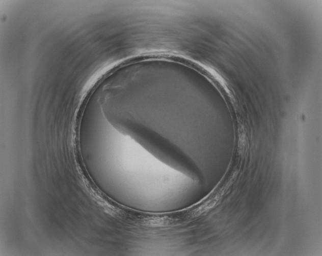 X0000087701279200705181810