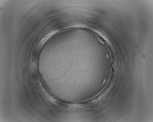 X0000087701281200705181810