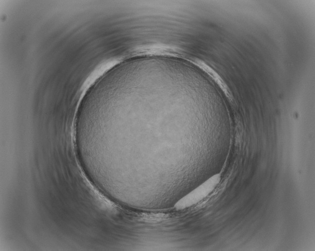 X0000087701285200705181810