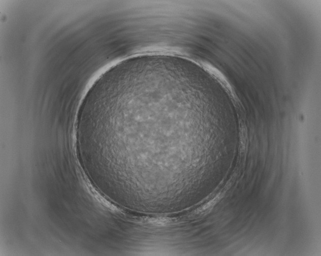 X0000087701288200705181810