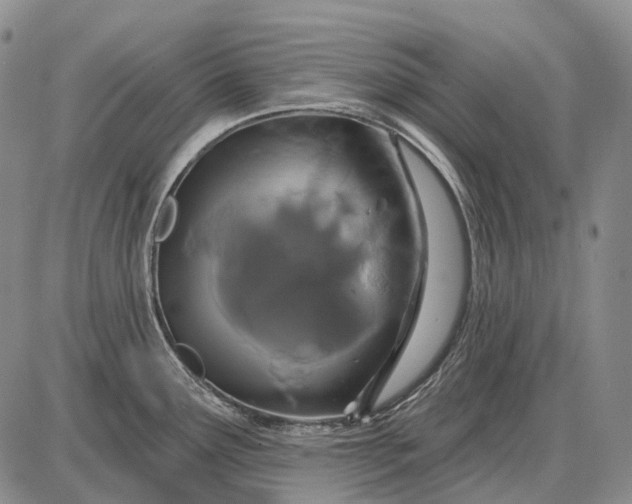 X0000087701291200705181810