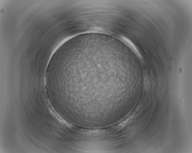 X0000087701292200705181810