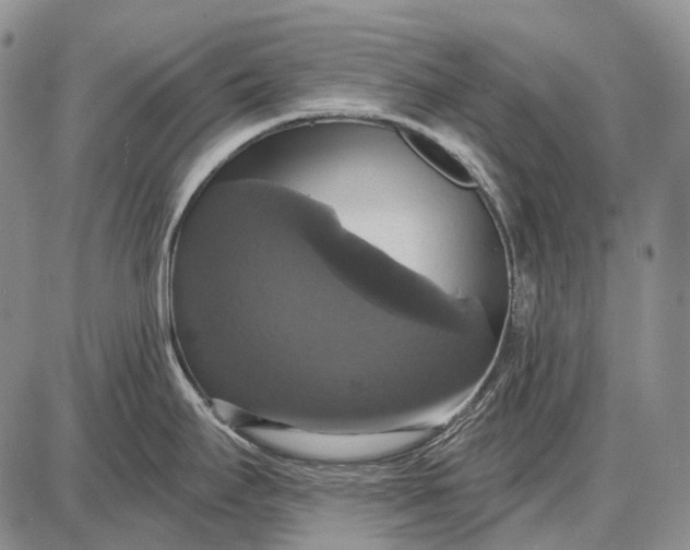 X0000087701295200705181810