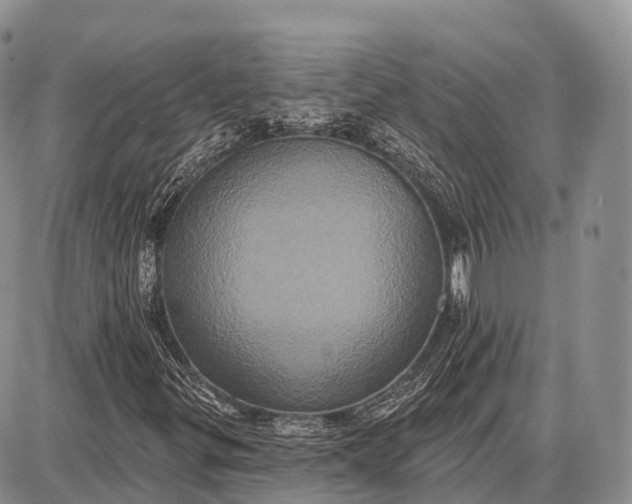 X0000087701299200705181809