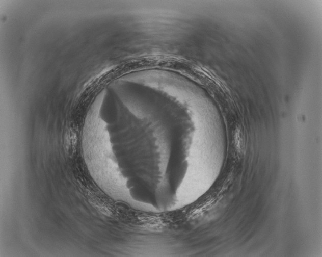 X0000087701302200705181809