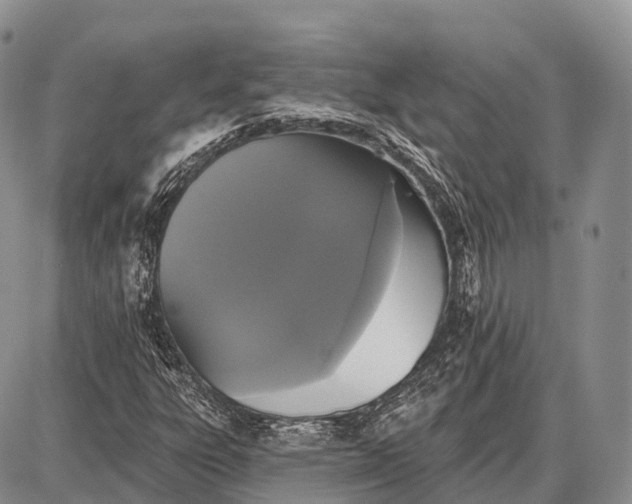 X0000087701303200705181809