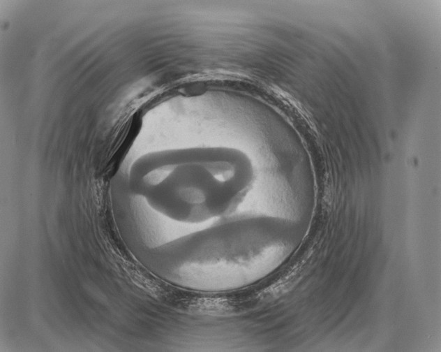 X0000087701313200705181810