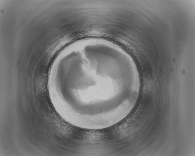 X0000087701314200705181810