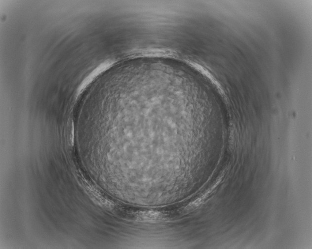 X0000087701317200705181810