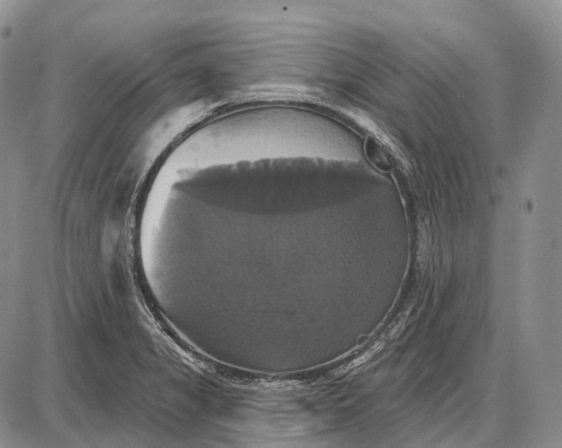 X0000087701325200705181810