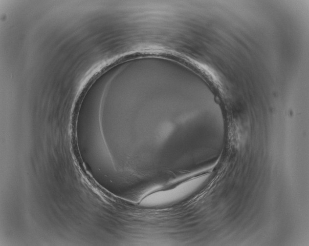 X0000087701327200705181810