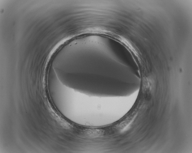 X0000087701331200705181810