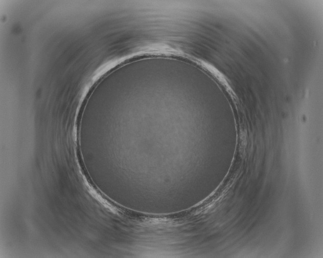 X0000087701335200705181810