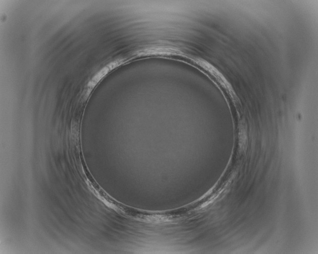X0000087701337200705181810
