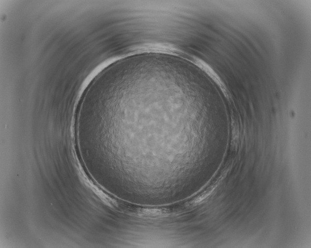 X0000087701339200705181810