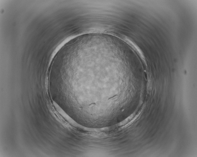X0000087701340200705181810