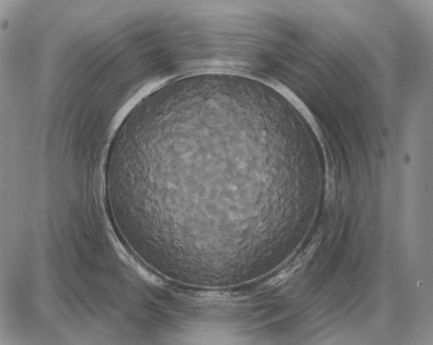 X0000087701341200705181810