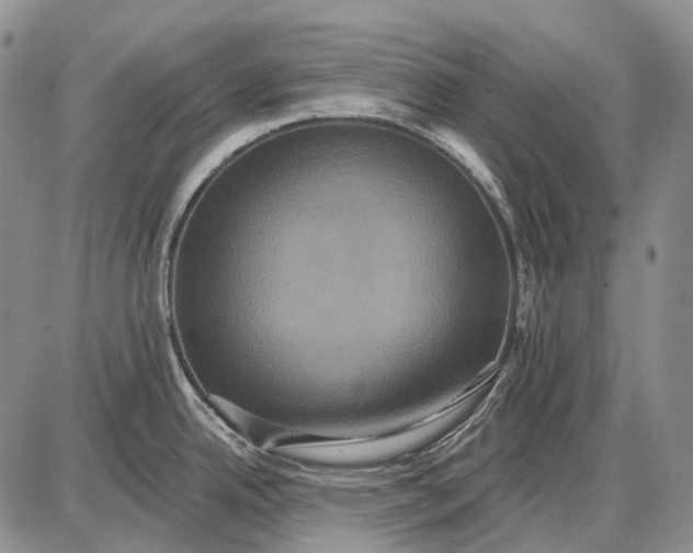 X0000087701342200705181810