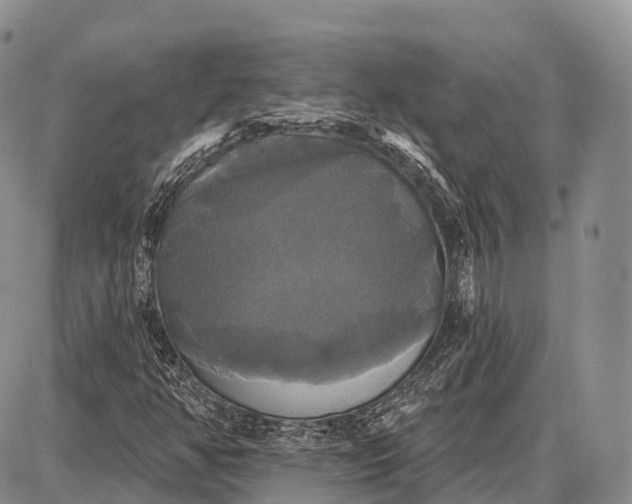 X0000087701350200705181809