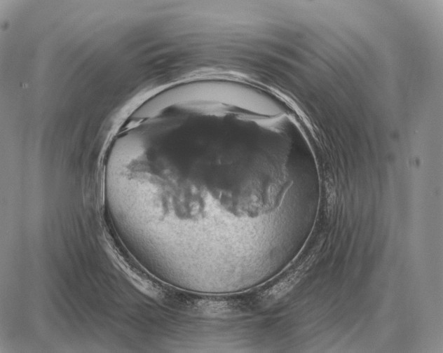 X0000087701371200705181809